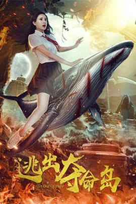 后宫海贼王