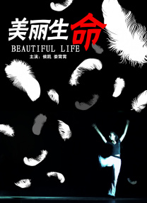 人成午夜免费大片